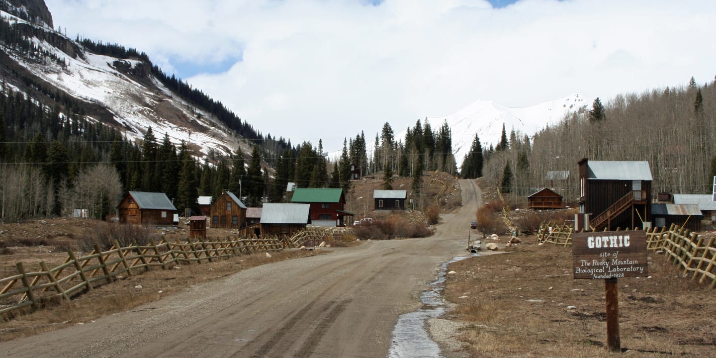 Gothic CO Ghost Town