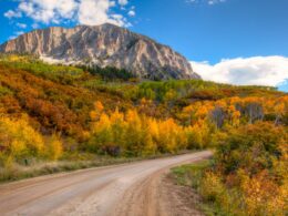 Kebler Pass Crested Butte Colorado