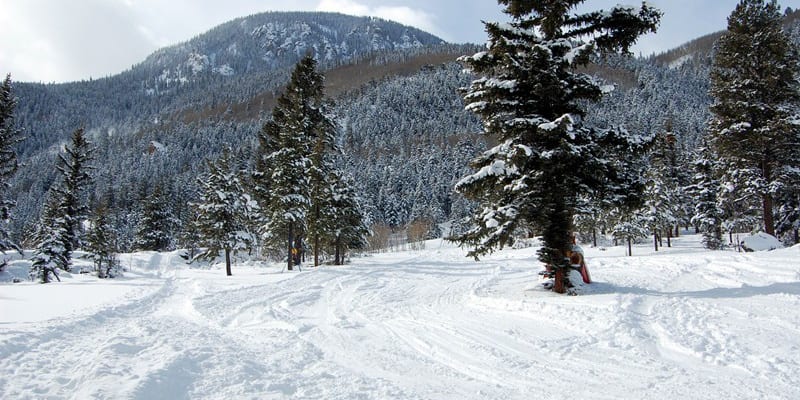 Lake City Ski Hill Powder Colorado