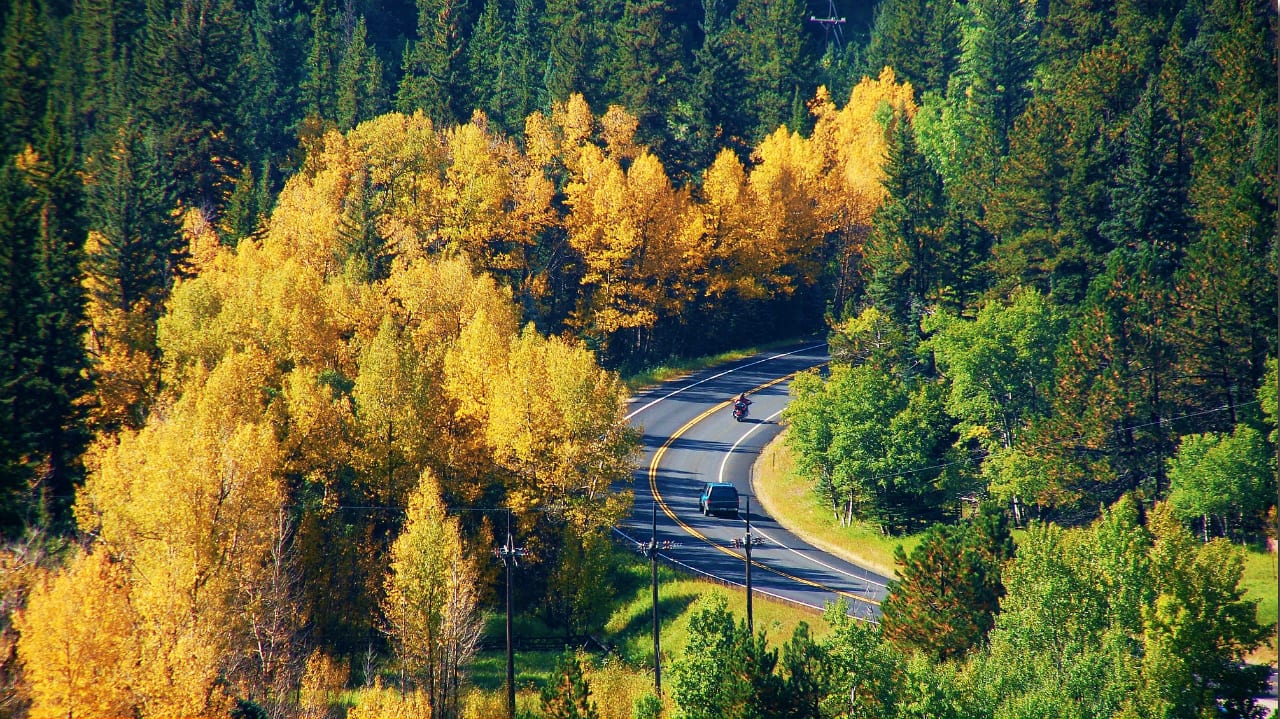 Peak to Peak Scenic Byway Fall Colors