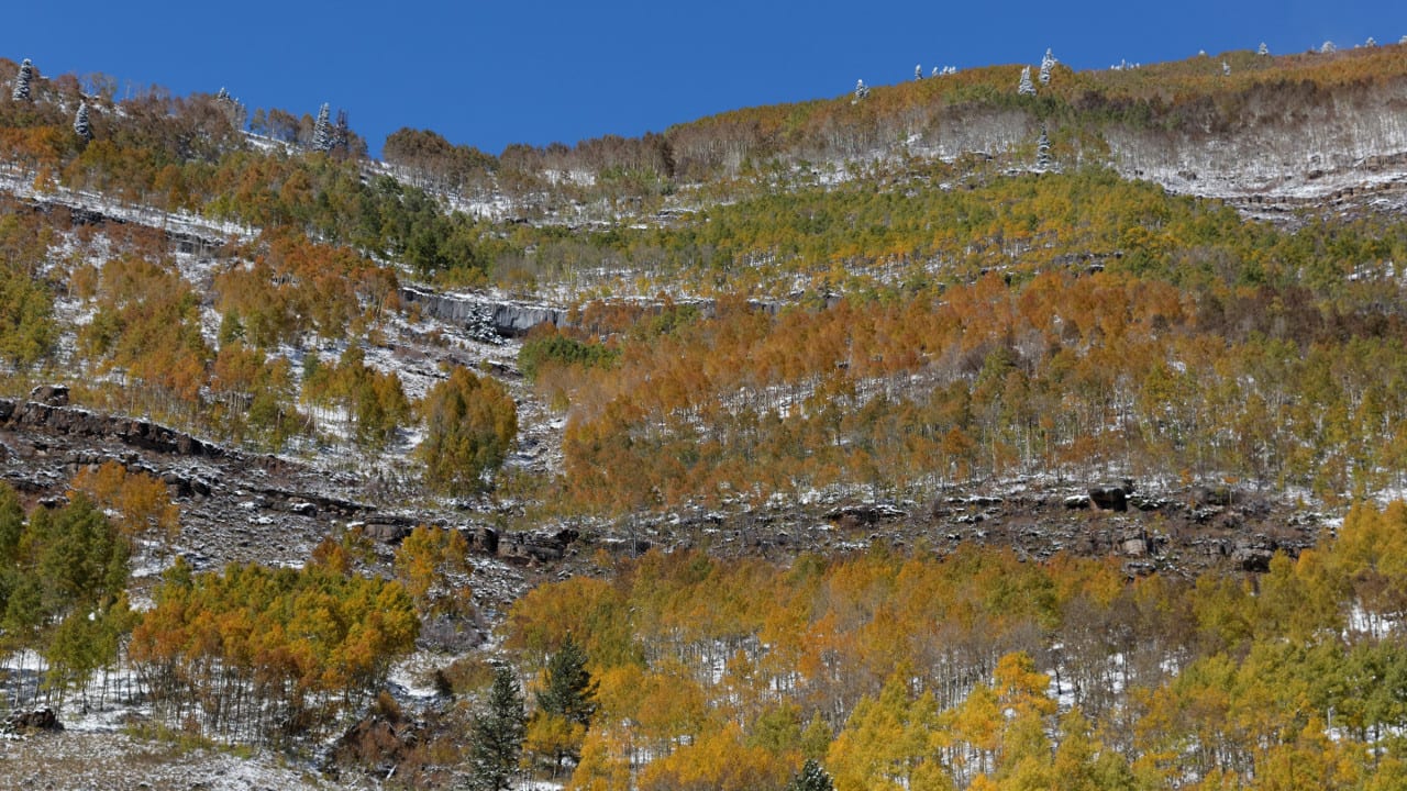 Shrine Pass Road Red Cliff Colorado