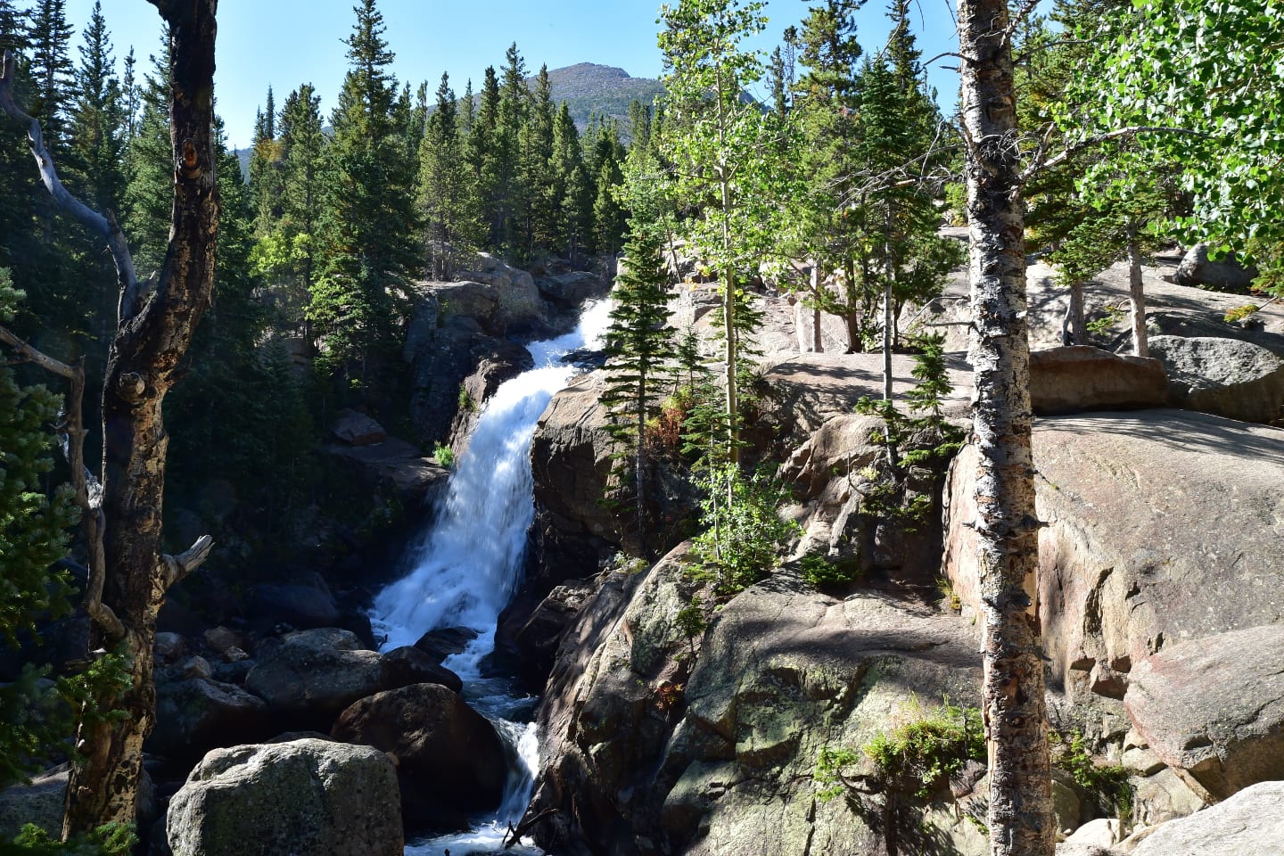 Alberta Falls
