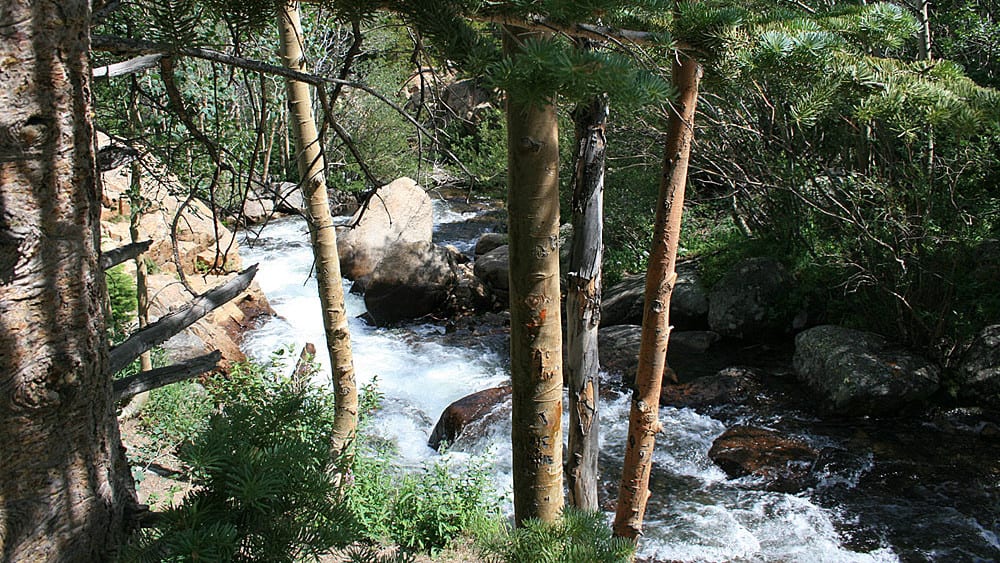 Alberta Falls