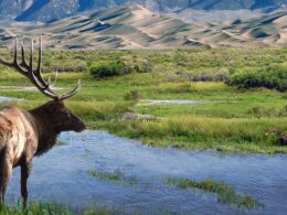 Big Spring Creek National Natural Landmark