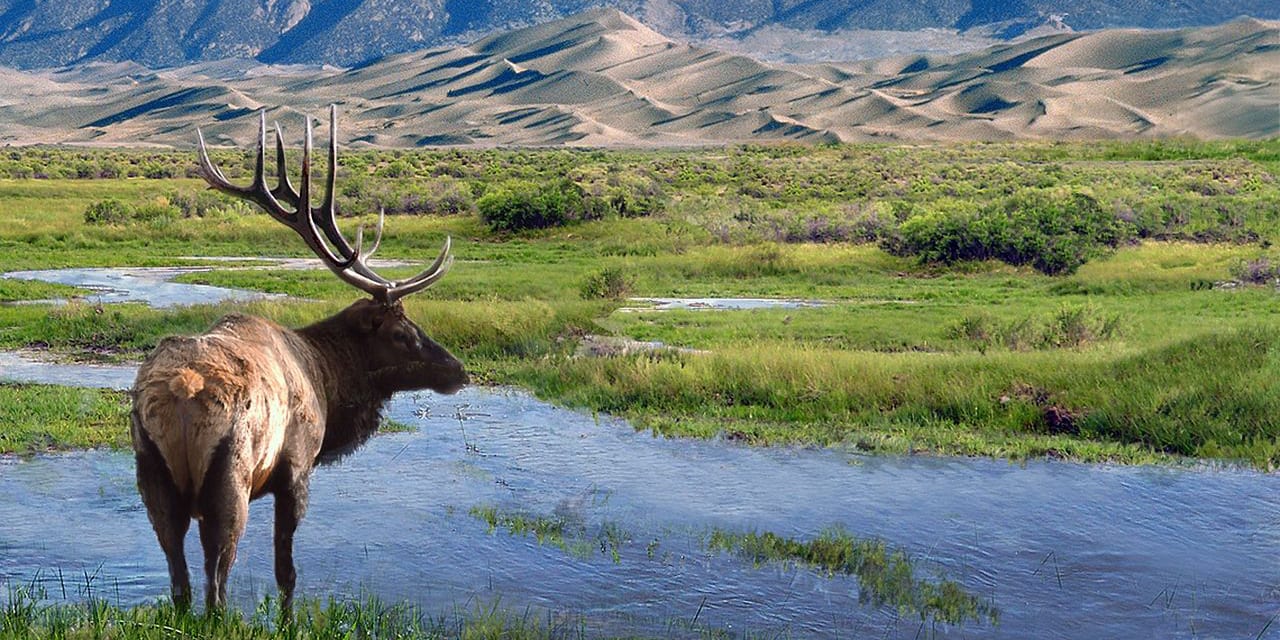 Big Spring Creek National Natural Landmark