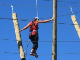 Browns Canyon Adventure Park Buena Vista Colorado