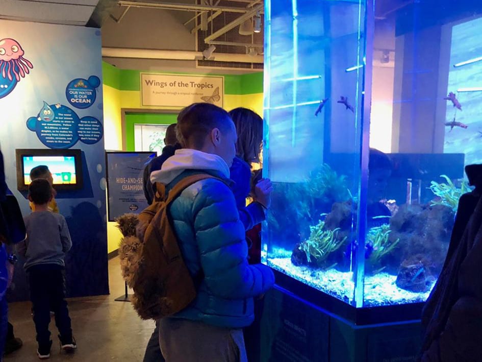Butterfly Pavilion Aquarium Exhibit