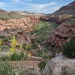 Dominguez-Escalante National Conservation Area Canyon Overlook