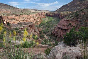 Dominguez-Escalante National Conservation Area Canyon Overlook