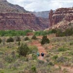 Dominguez-Escalante National Conservation Area Hiking Trail