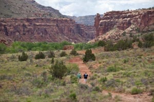 Dominguez-Escalante National Conservation Area Hiking Trail