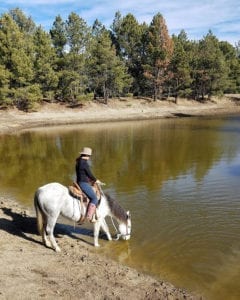 Great Escape Mustang Sanctuary Lake