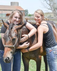 Great Escape Mustang Sanctuary Women Hug