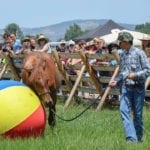 Great Escape Mustang Sanctuary Training