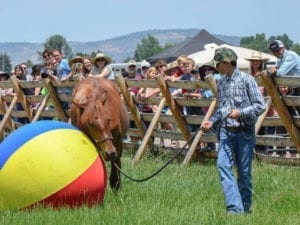 Great Escape Mustang Sanctuary Training