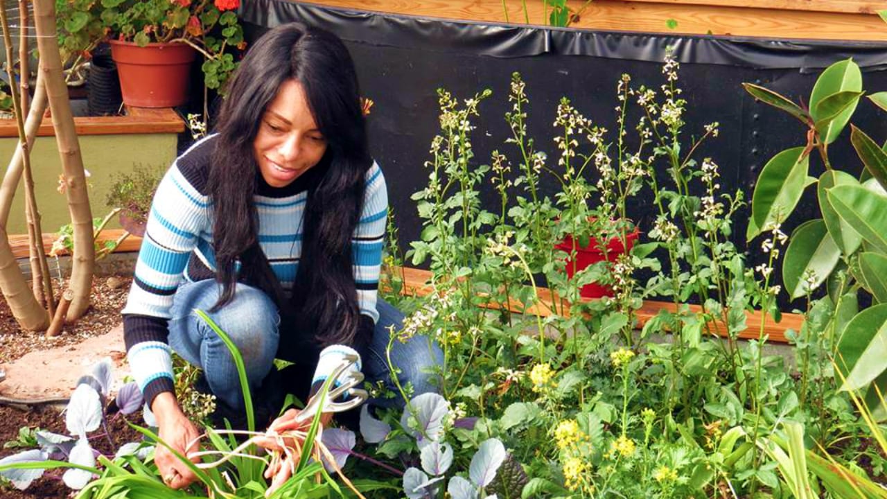 Growing Spaces Gardening Dome