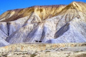 Gunnison Gorge National Conservation Area Horseback Riding