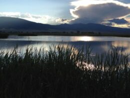 Monte Vista National Wildlife Refuge Colorado