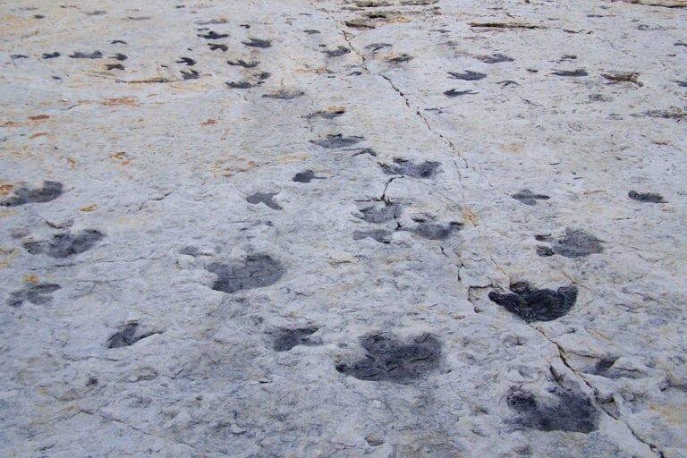 Dinosaur Ridge—Morrison-Golden Fossil Areas - Jefferson County, CO ...