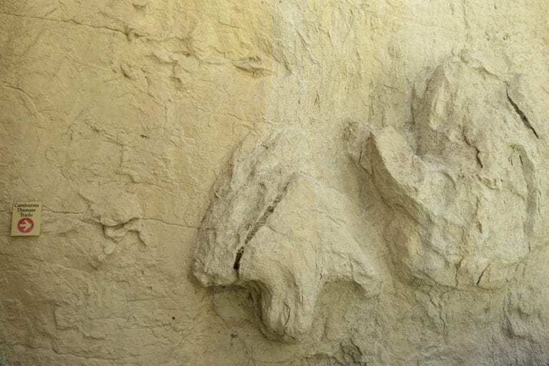Dinosaur Ridge—Morrison-Golden Fossil Areas - Jefferson County, CO ...