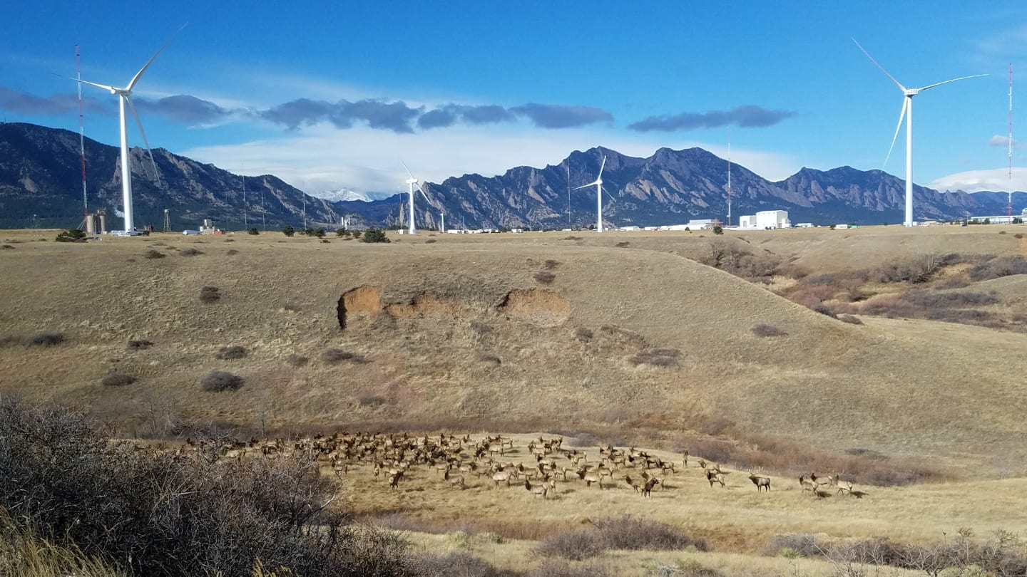 Rocky Flats National Wildlife Refuge Golden Elk Herd Windmills