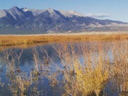 Smith Reservoir State Wildlife Area Blanca