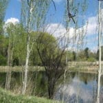 Two Ponds National Wildlife Refuge