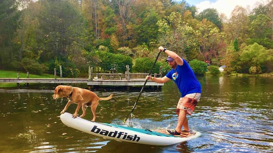Badfish SUP Stand Up Paddle Board Dog