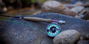 Fly Fishing Northern Saint Vrain River Colorado