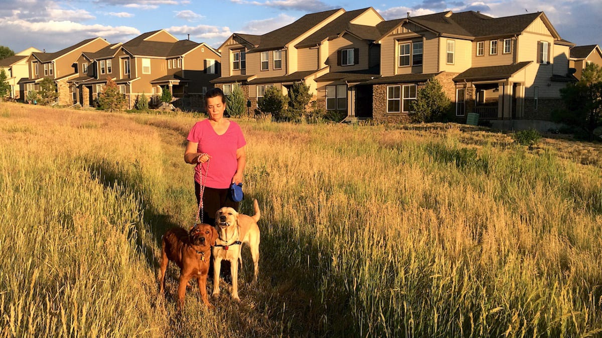 Colorado Springs Neighborhood Dog Walk