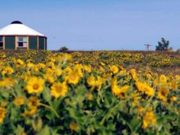 Freedom Yurt Cabins Colorado Springs