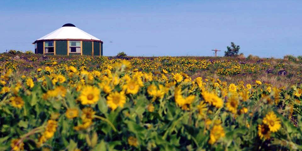 Freedom Yurt Cabins Colorado Springs