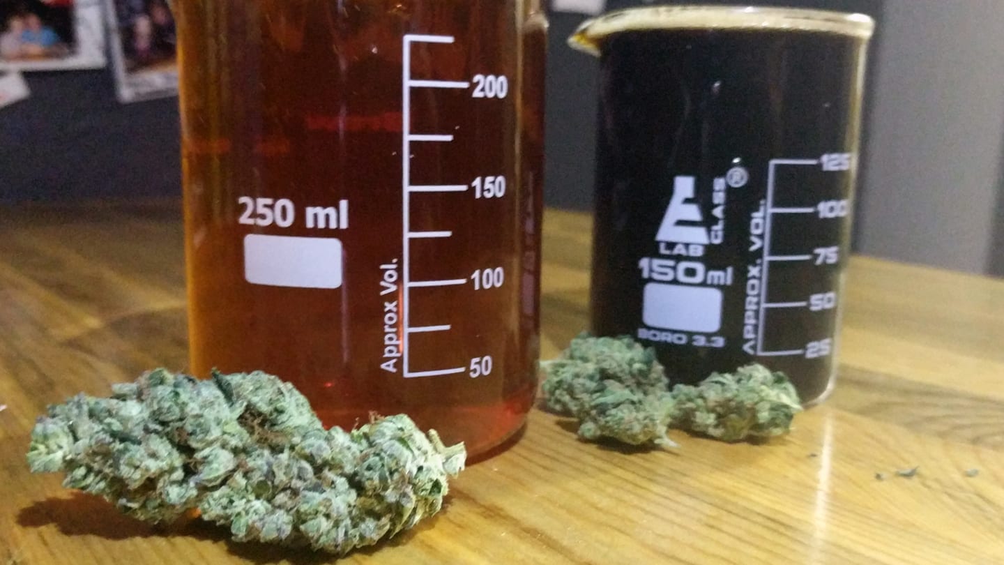 My 420 Tours Buds & Beers: Grow House and Brewery Tour