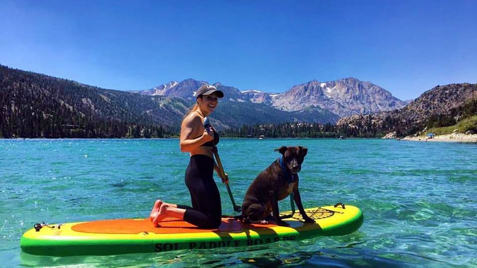 SOL Paddle Boards Dog