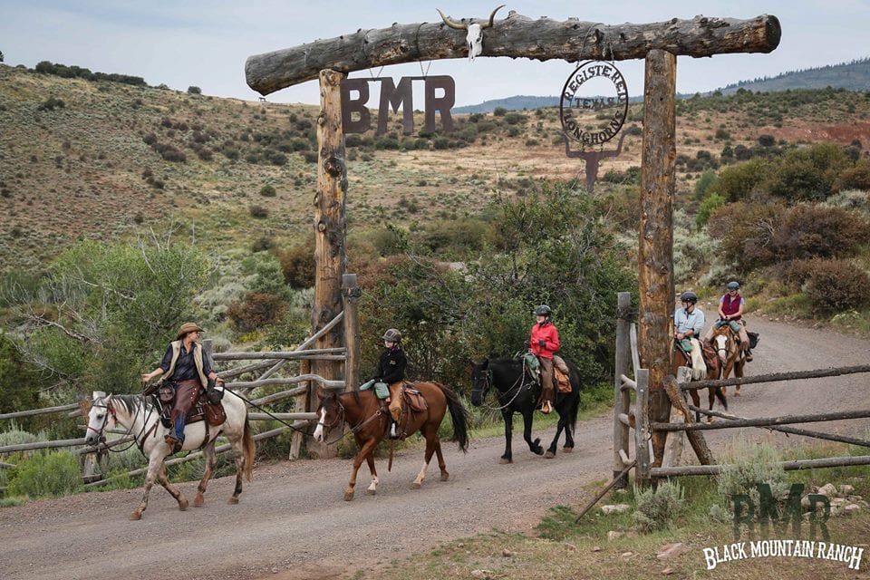 Black Mountain Colorado Dude Ranch McCoy