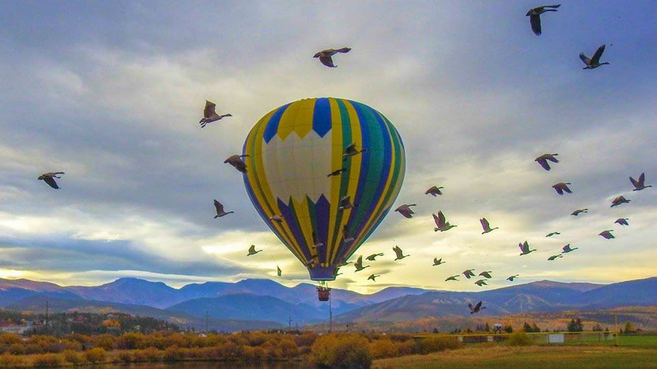 Grand Adventure Balloon Tours Colorado Birds