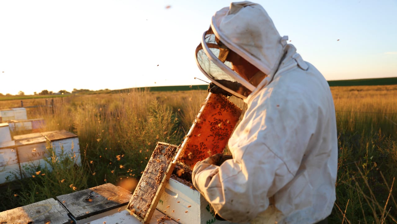 Rice's Honey Beekeeper