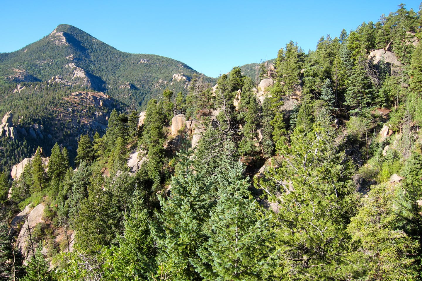 Pikes Peak Barr Trail Forest View