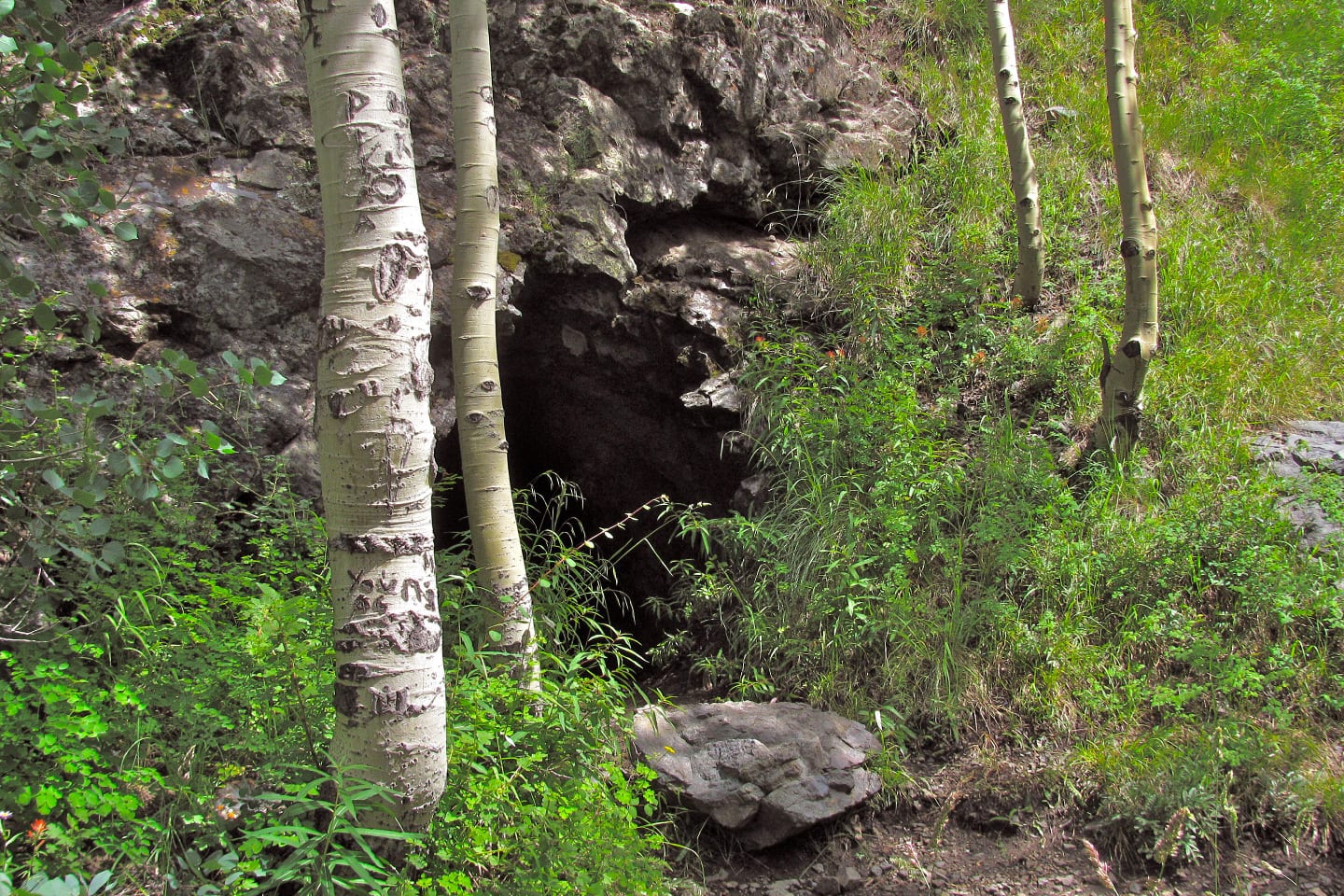 Bear Creek Trail Grizzly Mine Shaft