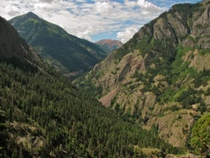 Bear Creek Trail Red Mountain