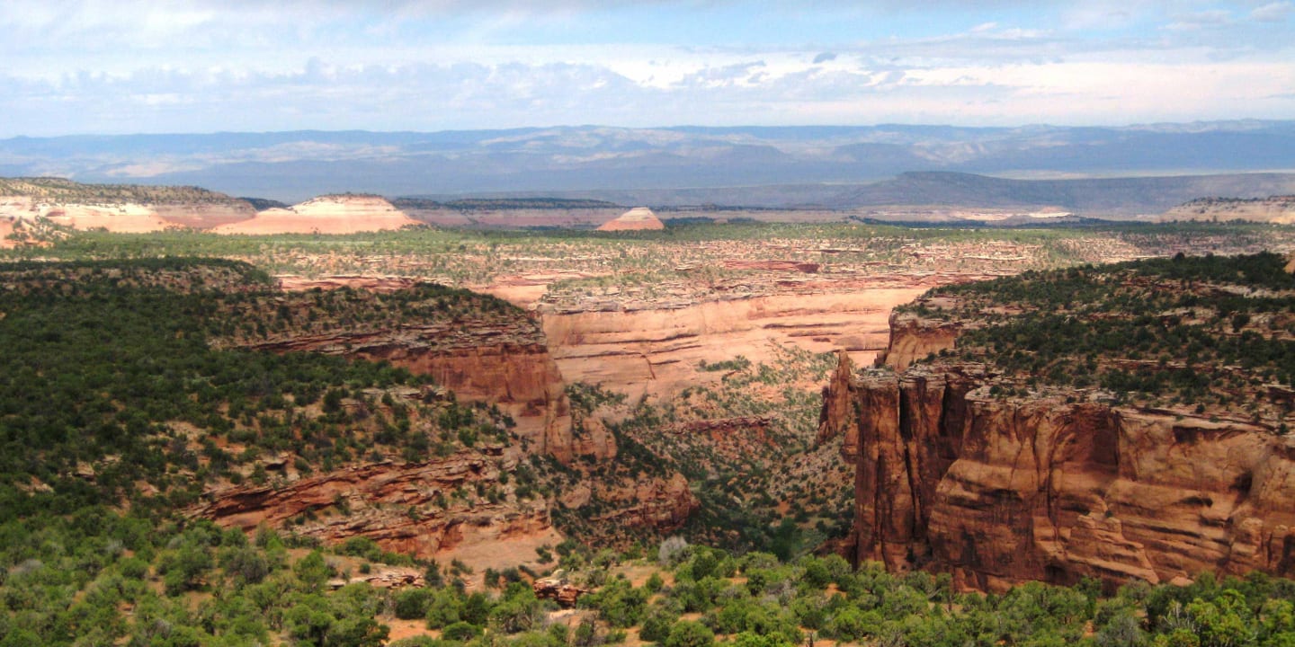 Black Ridge Canyons Wilderness Knowles Canyon