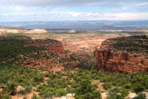 Black Ridge Canyons Wilderness Knowles Canyon