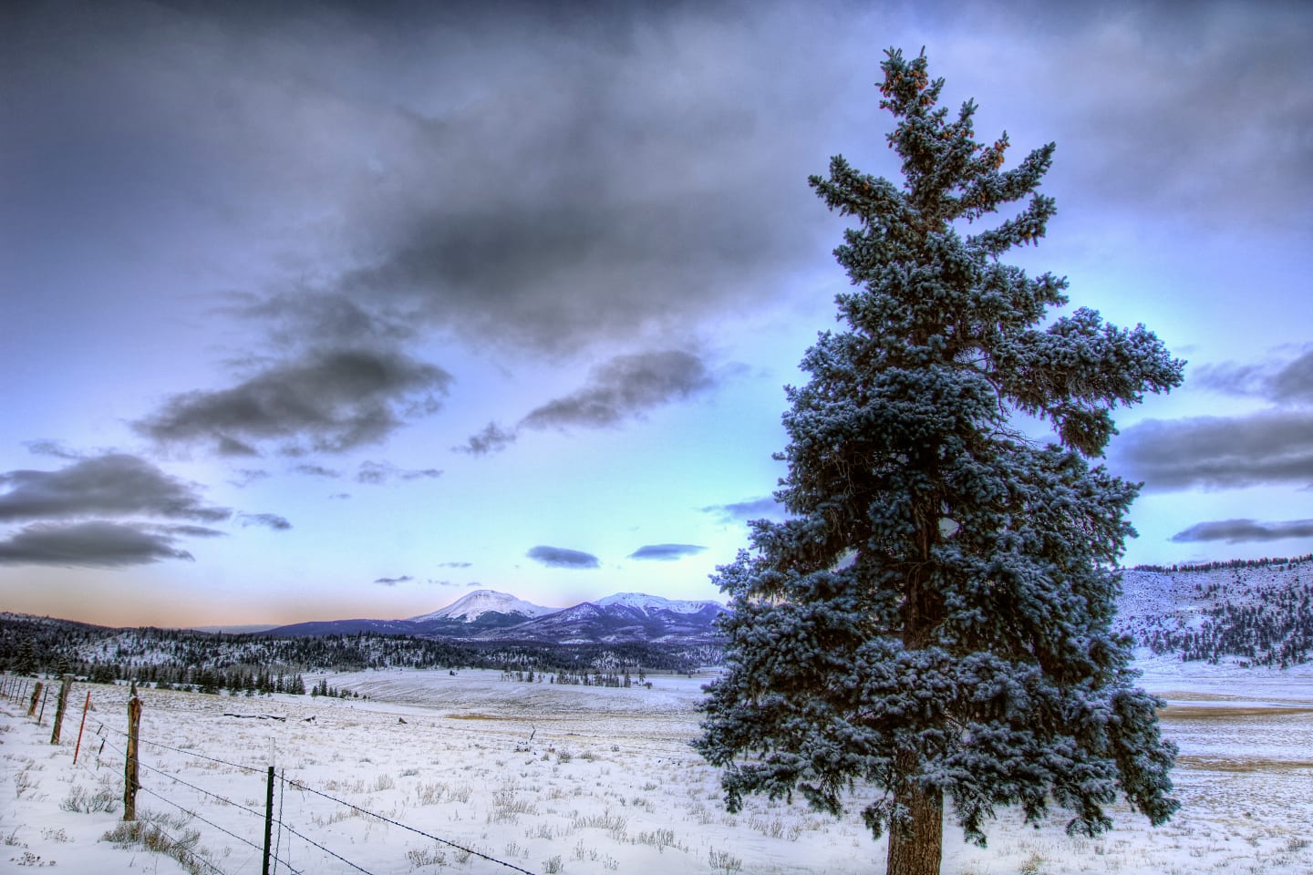 Buffalo Peaks Wilderness Dawn Colorado