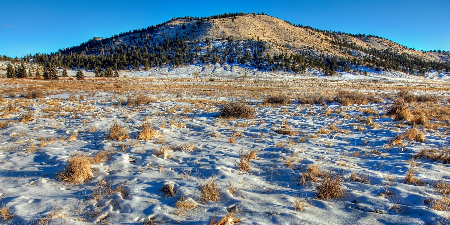 Buffalo Peaks Wilderness Snow Tracks Colorado