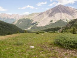 Collegiate Peaks Wilderness Lake Ann View