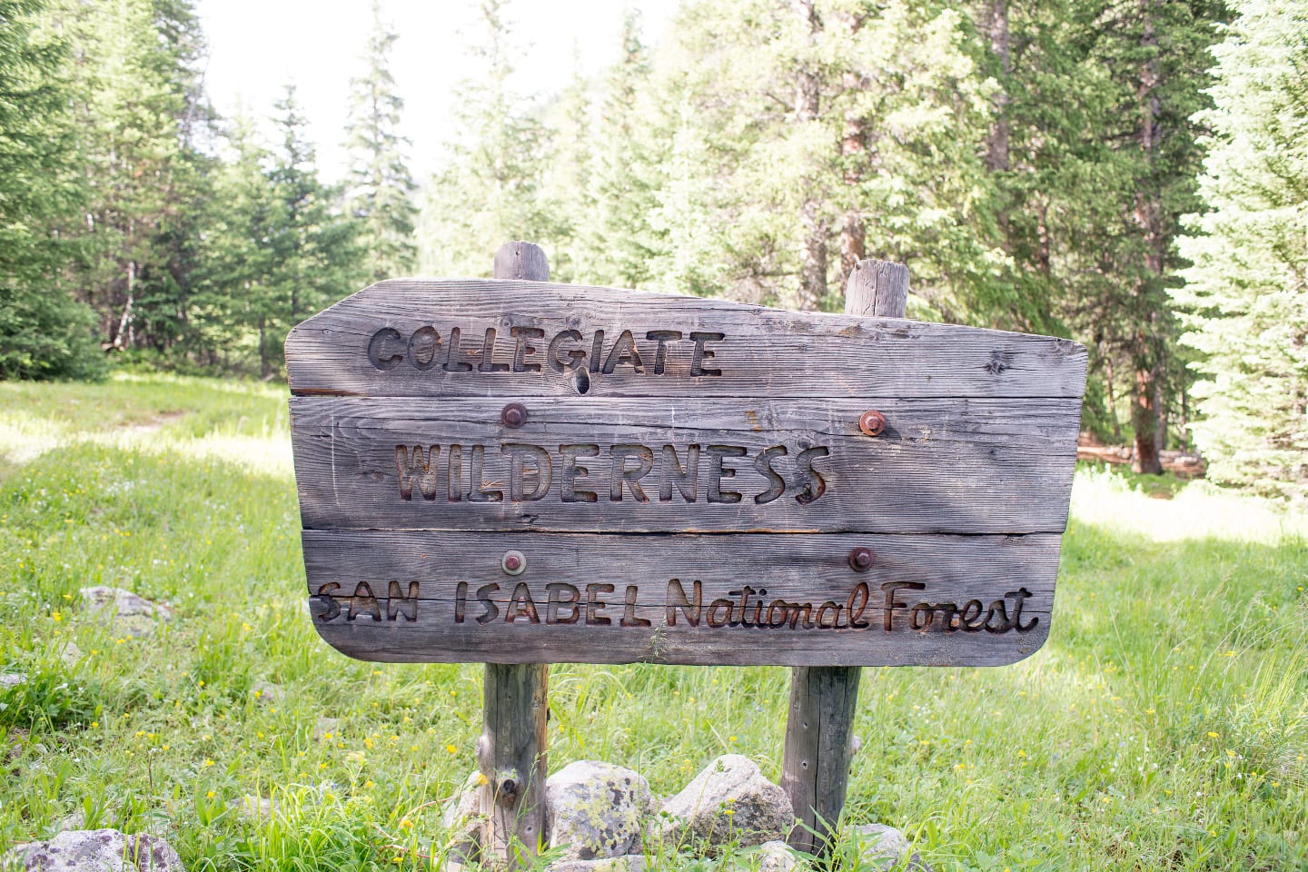 Collegiate Peaks Wilderness Sign Colorado
