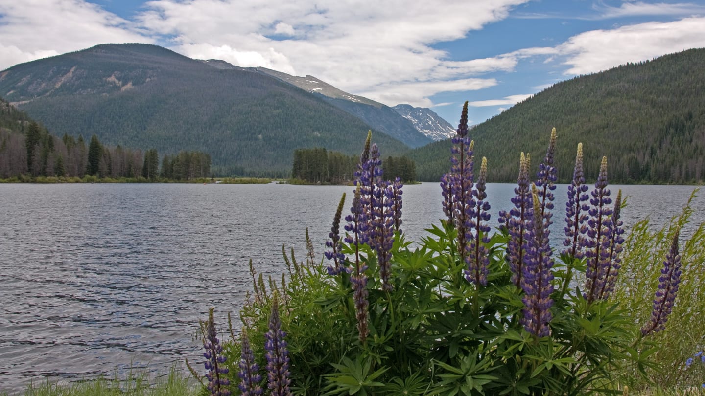 Monarch Lake Indian Peaks Wilderness Colorado