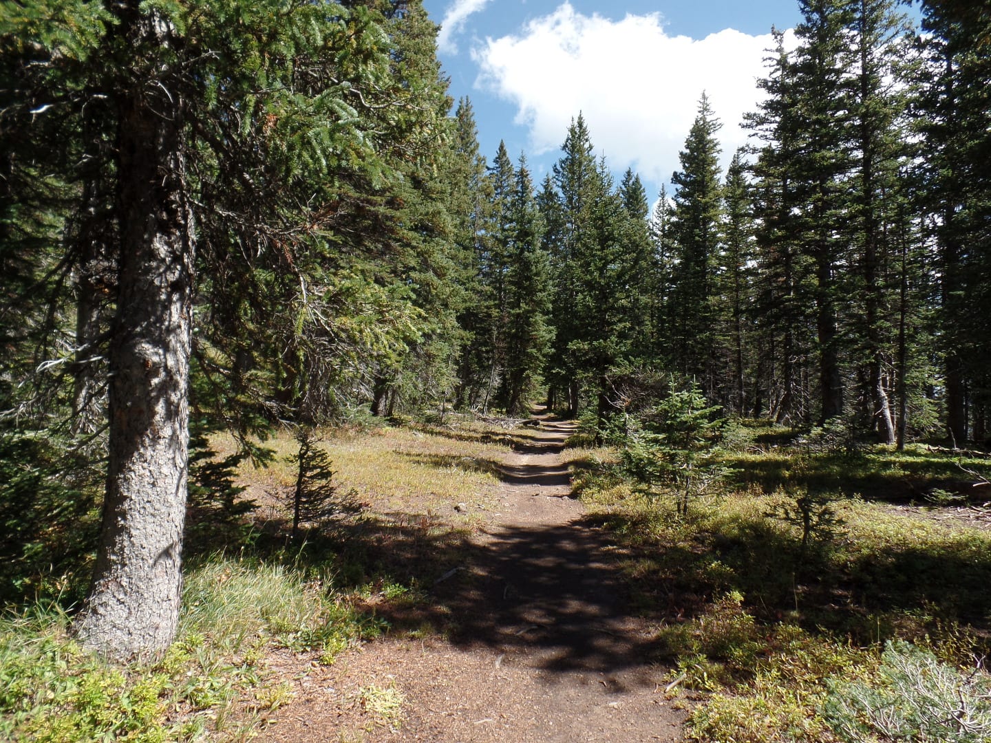 Crag Crest Trail Dirt Path