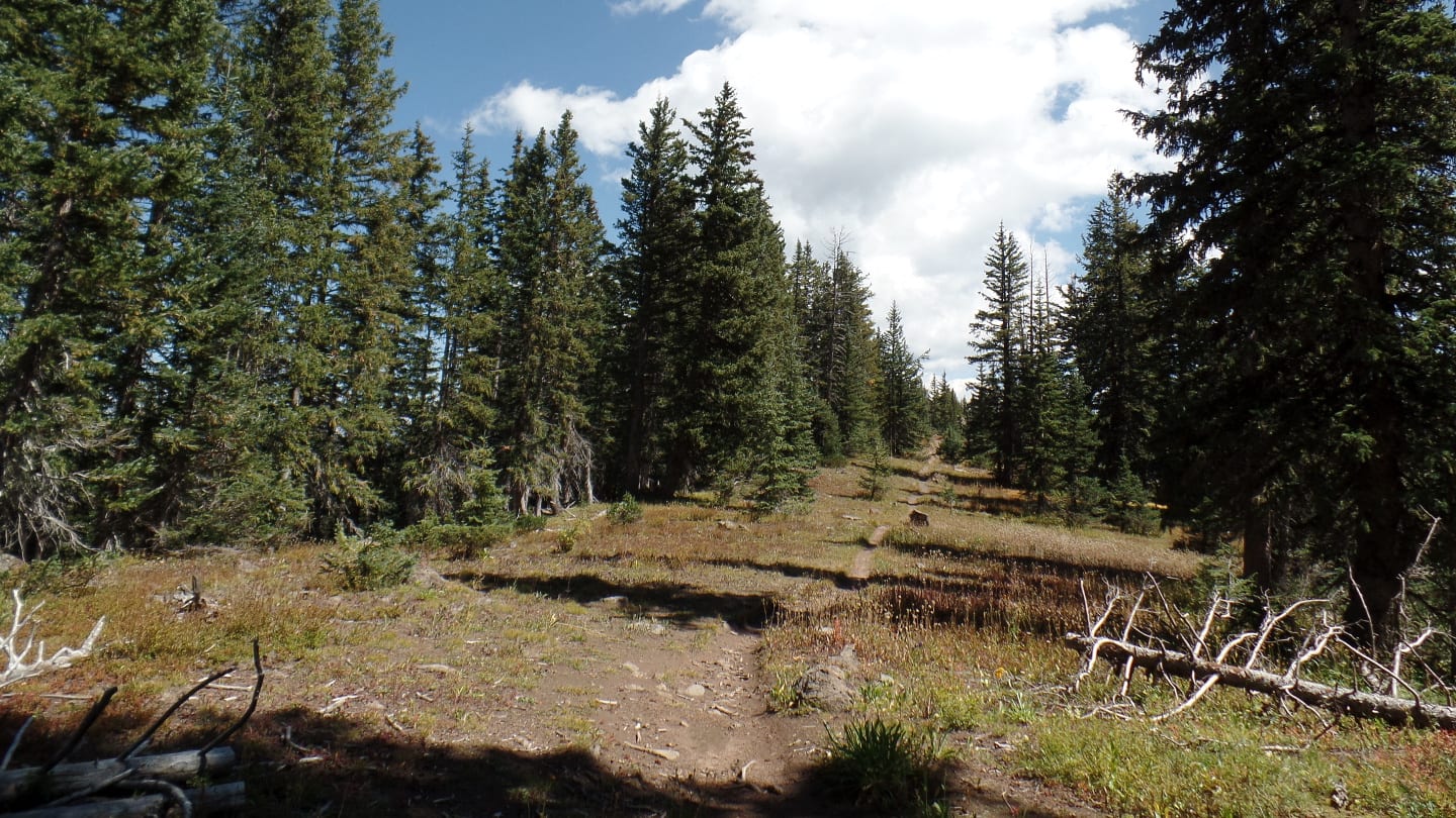 Crag Crest Trail