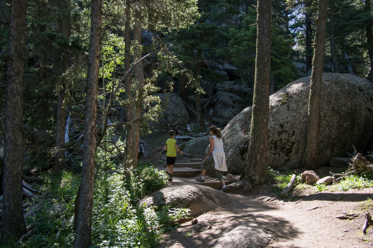 Devil's Head Trail Lookout Steps